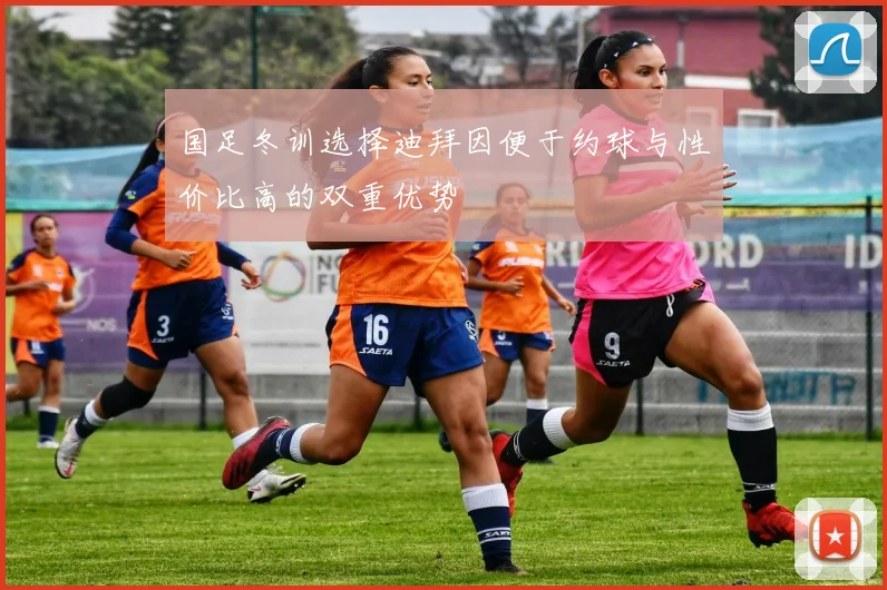 国足冬训选择迪拜因便于约球与性价比高的双重优势