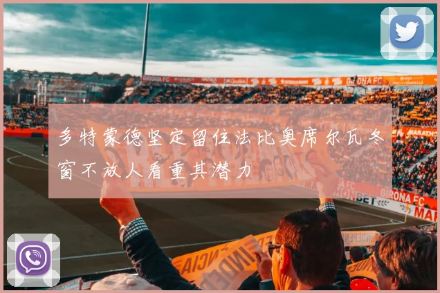 多特蒙德坚定留住法比奥席尔瓦冬窗不放人看重其潜力